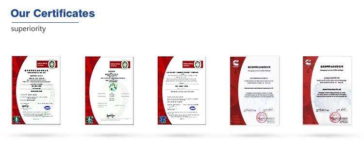 6-certificate