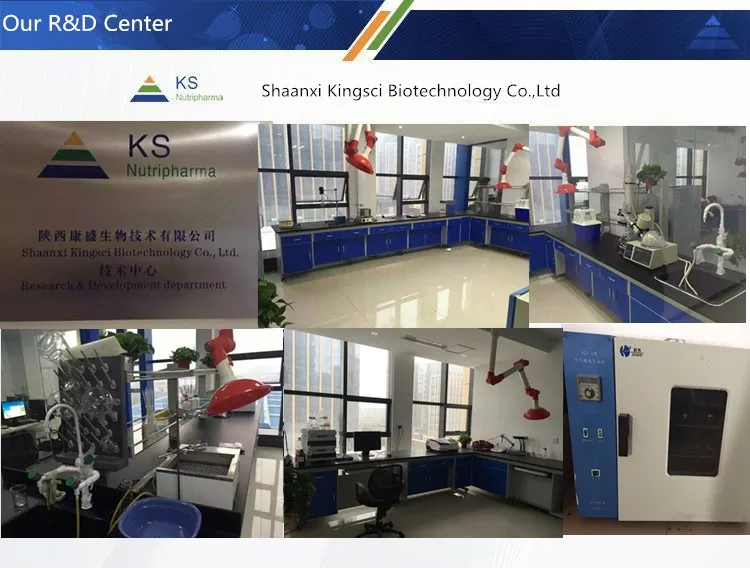 
98% Capsaicin Red Chilli Extract 