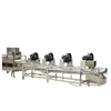 Small scale raisin processing line / raisin cleaning and drying line