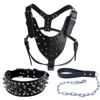 /product-detail/dog-walking-training-hiking-sport-pet-harness-soft-leather-spike-dog-harness-set-rivet-studded-dog-harness-60422752762.html