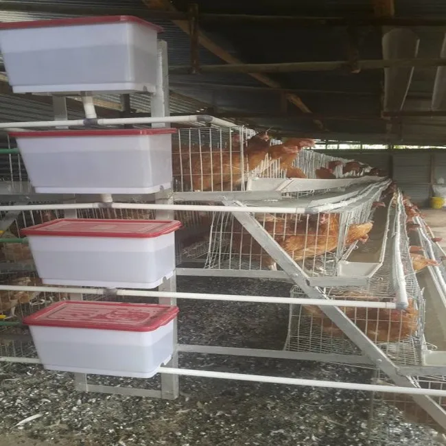 South Africa Hot Sale Layer Chicken Cage For Chicken Farm Buy Chicken
