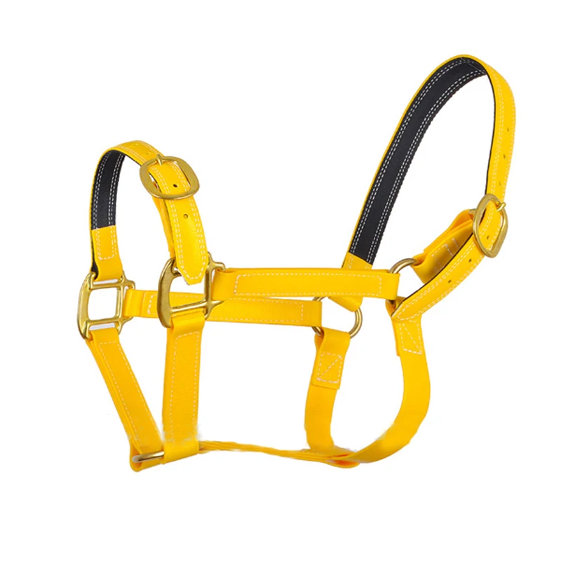 Customized yellow designer horse halters