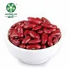 Wholesale Red Kidney Sugar Beans Price per ton Seeking Business Partner