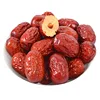 wholesale fresh dates supplier dates fruits dried