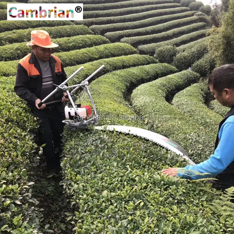 electric tea harvesting machine