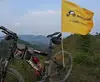 Wholesale best quality and newest style promotional attractive advertising pole no moq oem custom bike flag
