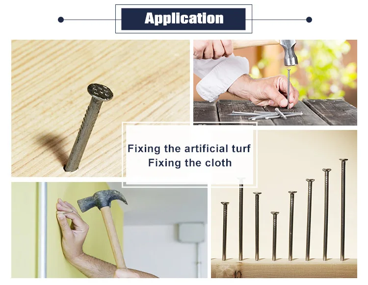 Wholesale 1/2 inch-6 inch length and steel material concrete nail