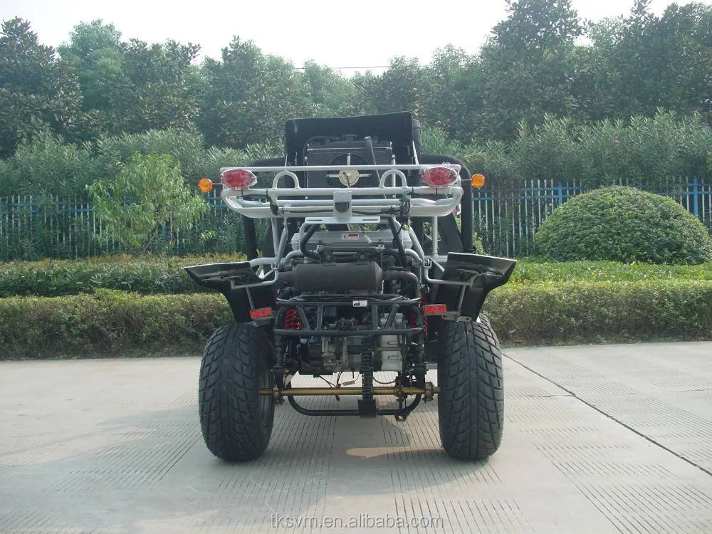 
2 seat dune buggy 