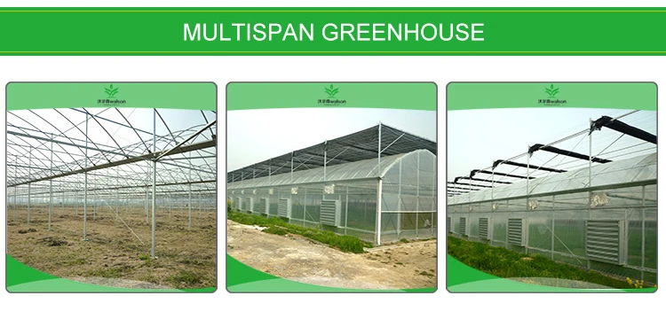 greenhouse