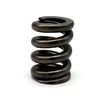 OEM Carbon Steel Large Diameter Train Spring