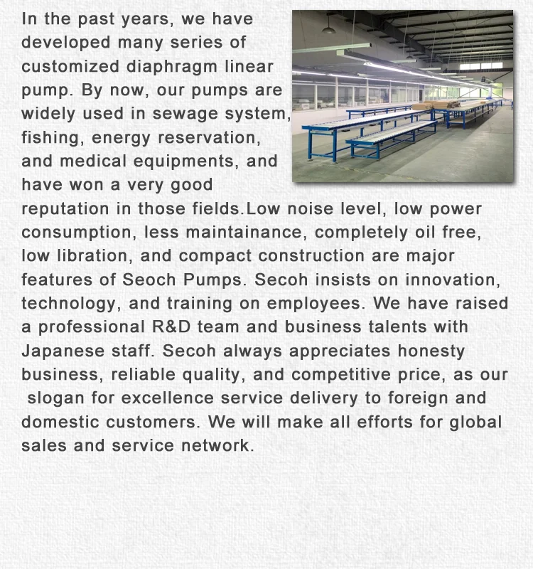 Secoh SLL 40 Air electric Diaphragm pump, View electric pump, Secoh ...