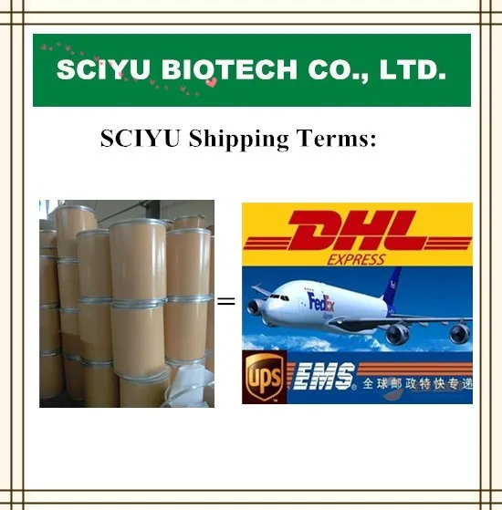 Shipping terms.jpg