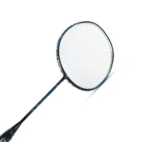 

WHIZZ new arrival SWORD 100% full carbon fiber protect badminton racket