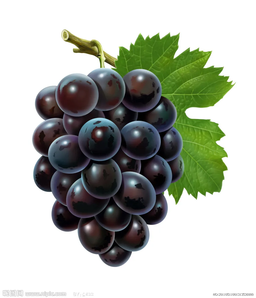 grape