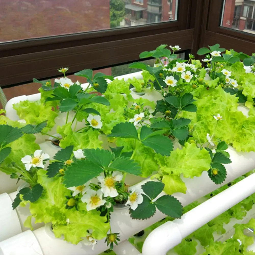 Venta al por mayor hidroponía planta de tubería de pvc-Compre online