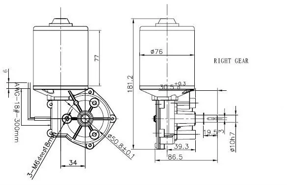 Shenzhen Xinhe worm drawing.jpg
