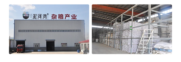 19-company information-01