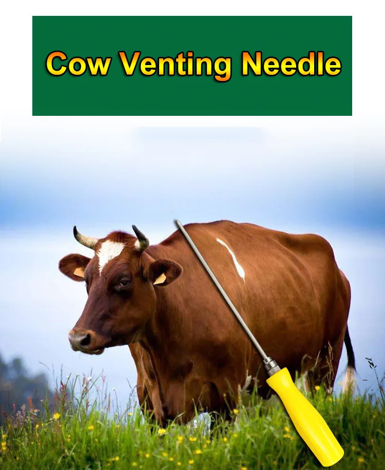 needle (5)
