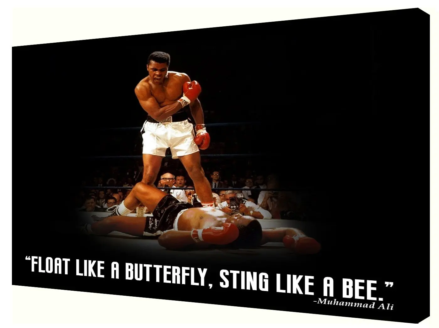 Muhammad Ali Canvas "FLOAT LIKE A BUTTERFLY STING LIKE A BEE" 18X14