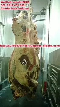 beef halal frozen quarter australian carcass larger
