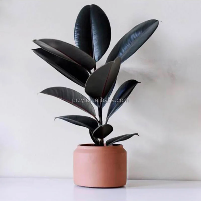 Round flowerpot mold 1.jpg