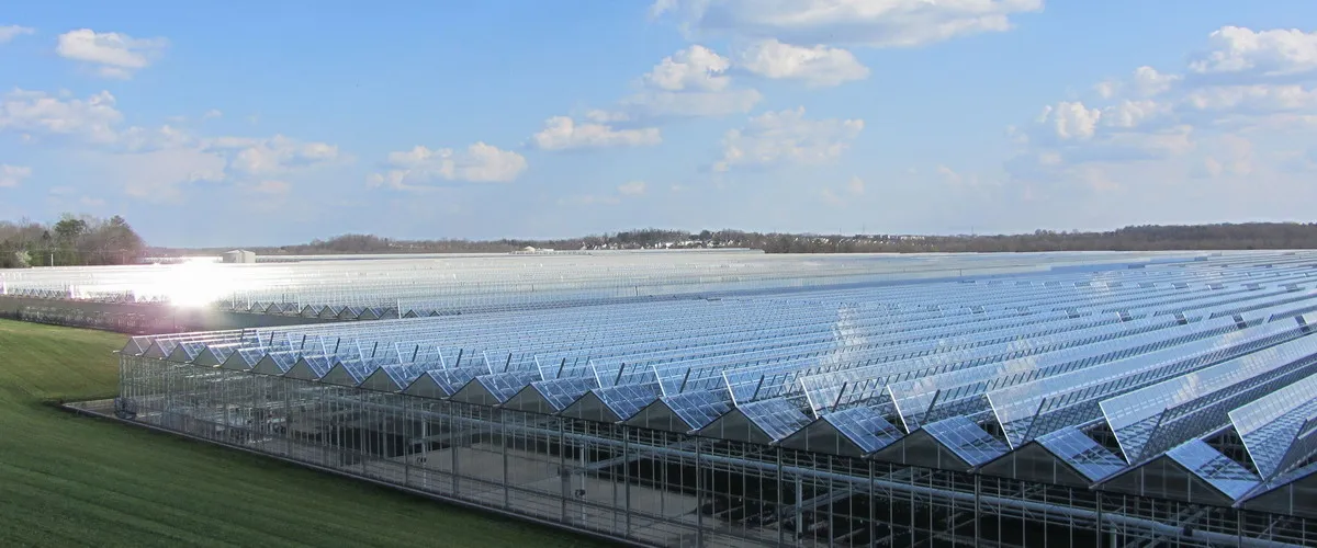 农业venlo 聚碳酸酯温室