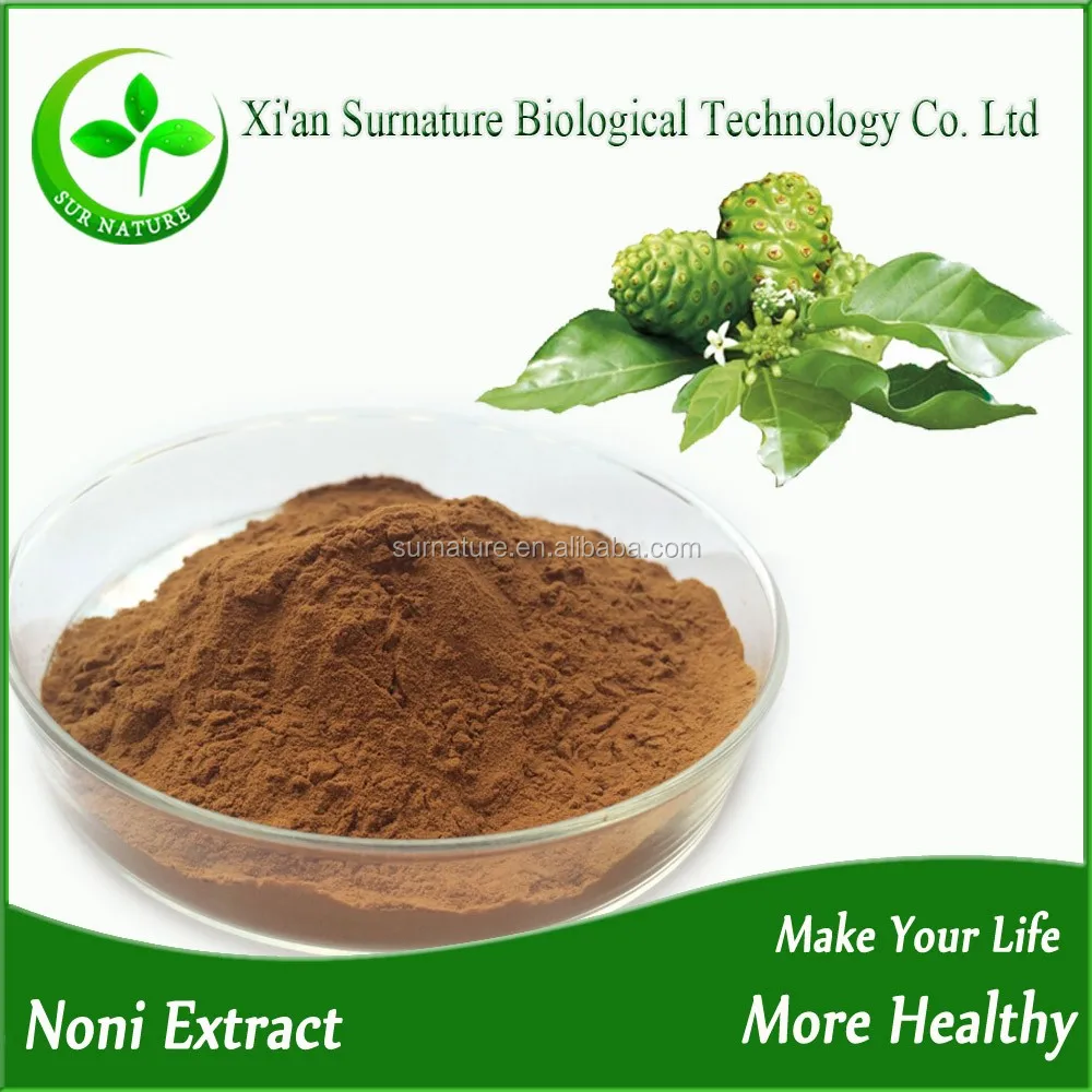 Factory Supply Free Sample Noni Leaf Extract For Noni Leaf Tea Buy