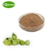Pure Natural Green Tomato Extract