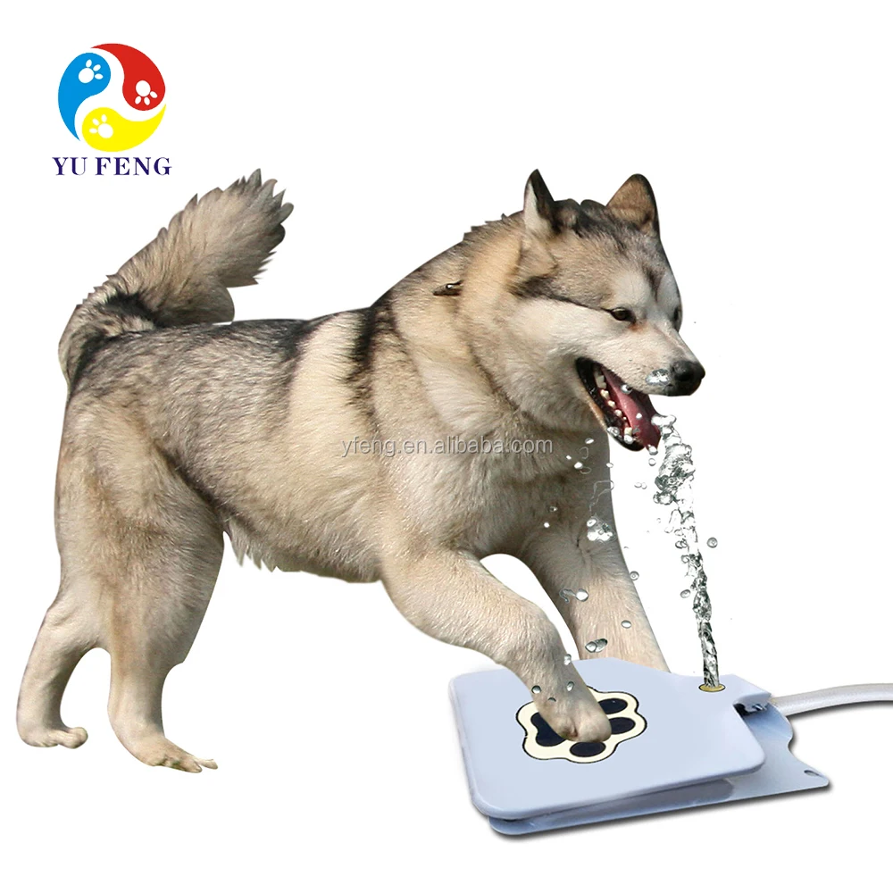 dog foot pedal water fountain