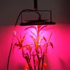 50w COB LED Grow Light led Plant lamp buld for flowers Algae