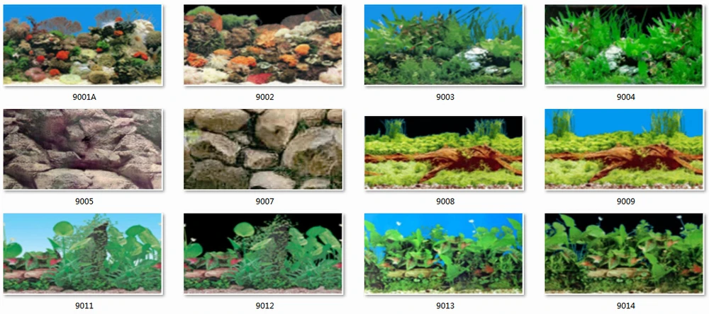 background 01-14.jpg