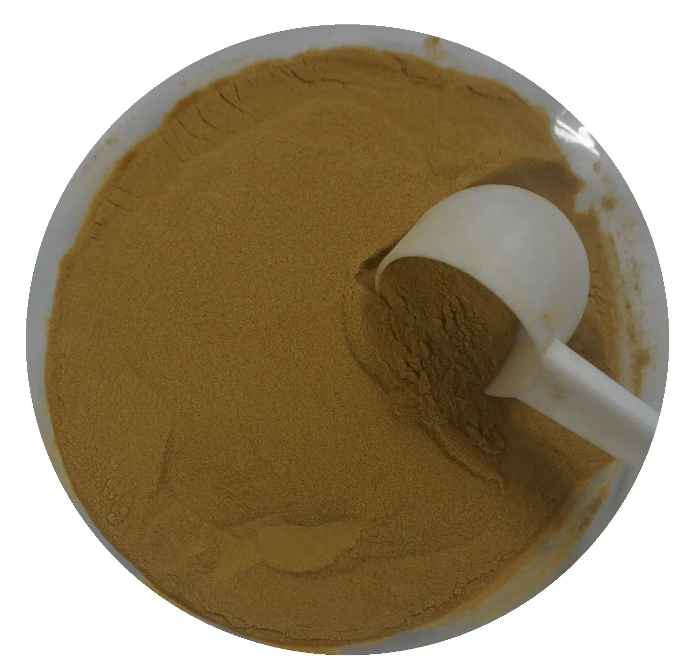 
Best Sell ISO Certified blister beetle mylabris extract 