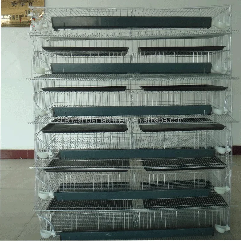 
Layer Quail Cages For South Africa,Plastic Quail Cage Farming Equipment 