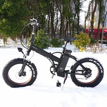 20 inch electric fat bike