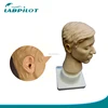 High Quality Ear Irrigation Simulator, Teaching Ear and Head model