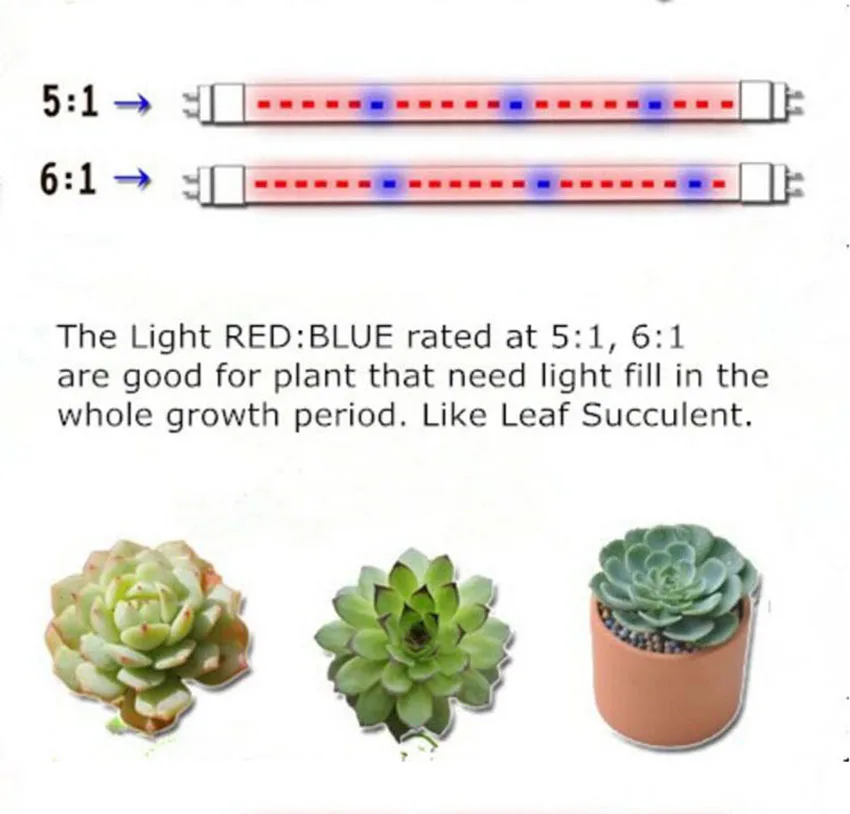 Led Plant grow Light инструкция. Характеристики светодиода ред Блу. Led Plant grow Light инструкция на русском языке. Led grow Light инструкция на русском языке.