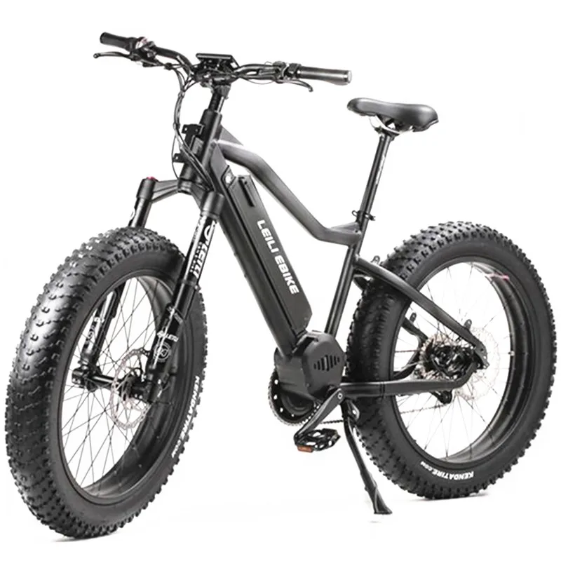 best 1000 watt electric bike