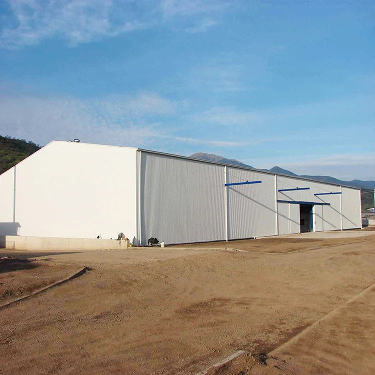 Logistic Center Building Steel Structure Warehouse