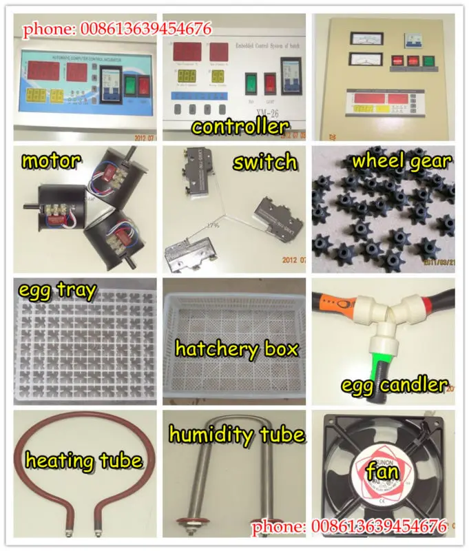 Automatic solar egg incubator