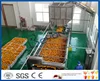 Lemon orange lime citrus Juice NFC and lemon oil processing production line/plant