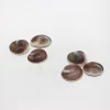 Natural color shell fossil home decoration