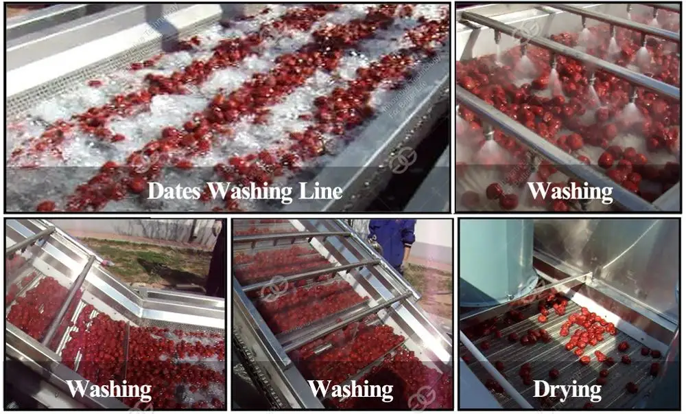 Industrial Carrot Apple Cleaning Machine Vegetable Washing and Drying Machine Fruit Washer Price