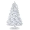 Fir Flip Douglas ChristmasTree