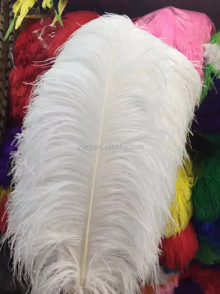 Ostrich Feather Centerpiece Kits!