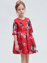 Hot Red Girls Kids Princess Flower Rabbit Owls Aline Gown font b Fancy b font font