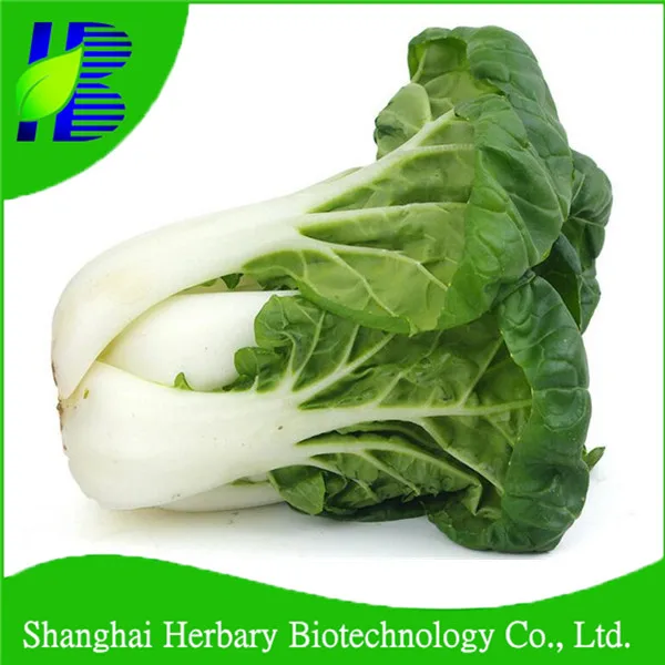 new variety cabbage seeds, by no.1 little bok choy seeds