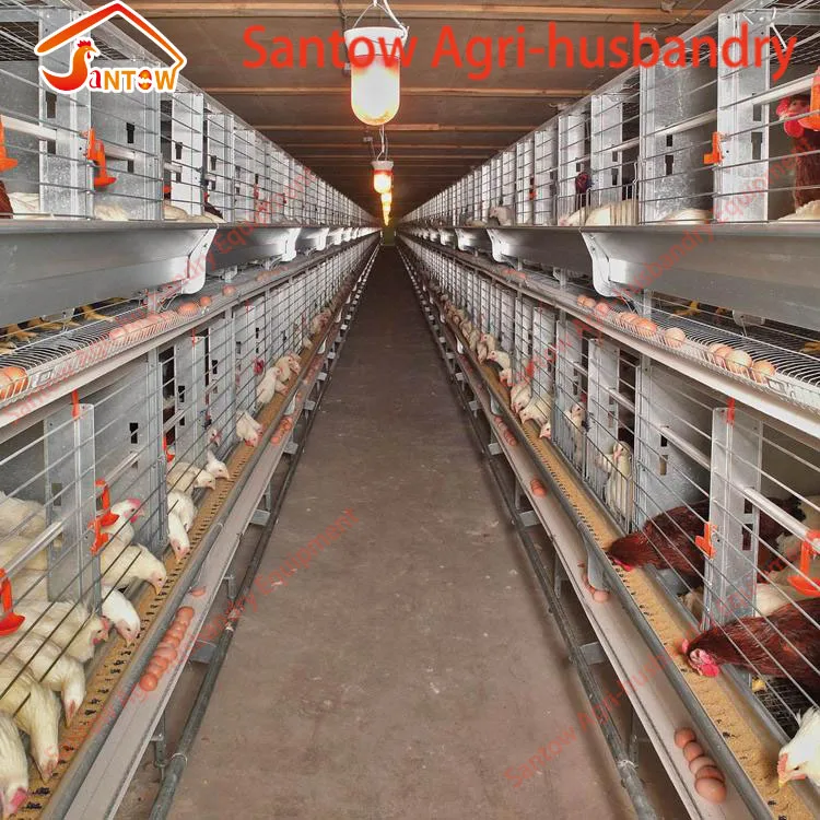 H Type Chicken Layer Cage 3 Tier Poultry Cages Factory Price Breeder Cages For Birds Buy
