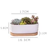 White long square and round ceramic mini fleshy plant flower pot