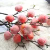 /product-detail/persimmon-dried-dry-tree-branch-decoration-dried-fruit-for-home-furnishing-decoration-62177803853.html