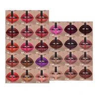 

27 colors in stock permanent lip gloss with your logo printed